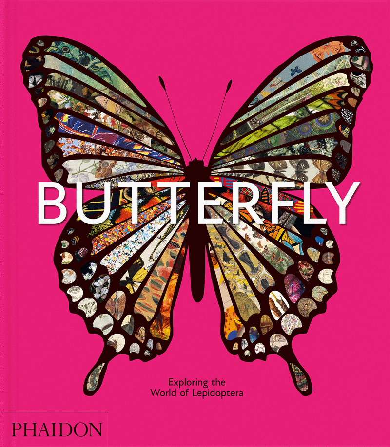 BUTTERFLY - ENG