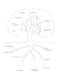 ARBORETUM