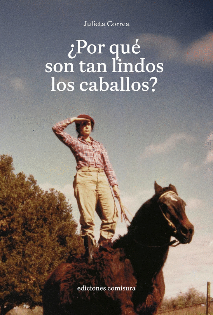 POR QUE SON TAN LINDOS LOS CABALLOS?
