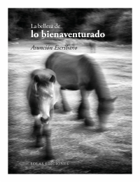 BELLEZA DE LO BIENAVENTURADO