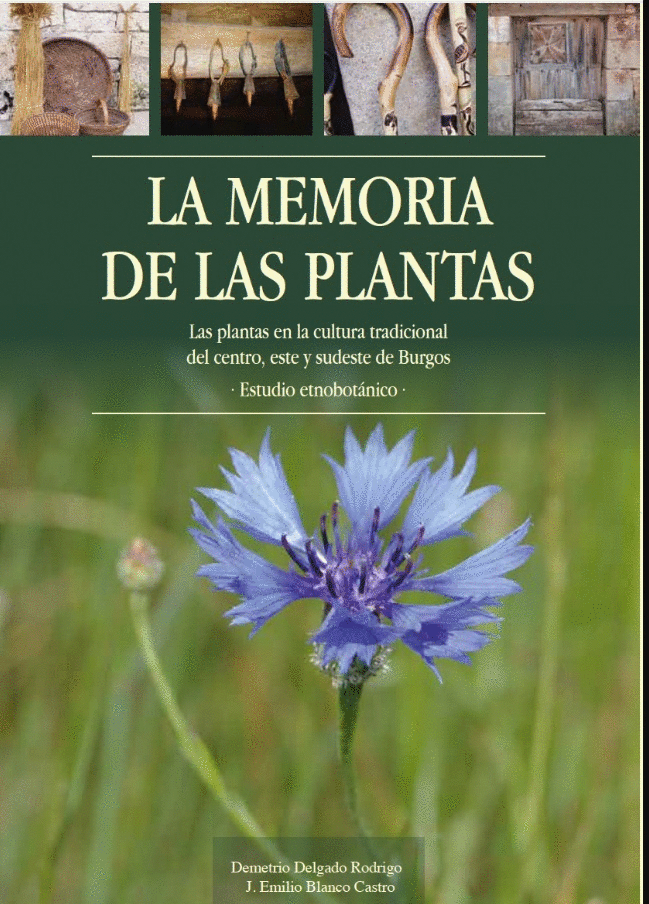 LA MEMORIA DE LAS PLANTAS