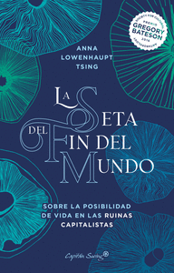 SETA DEL FIN DEL MUNDO