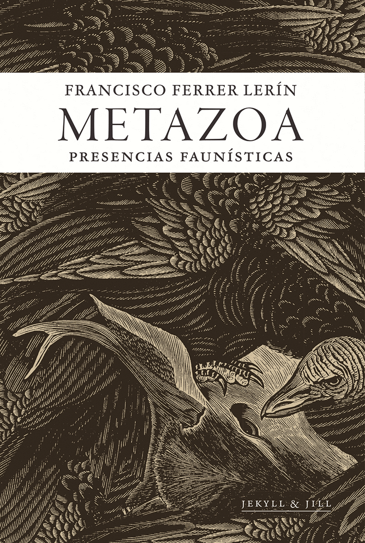 METAZOA