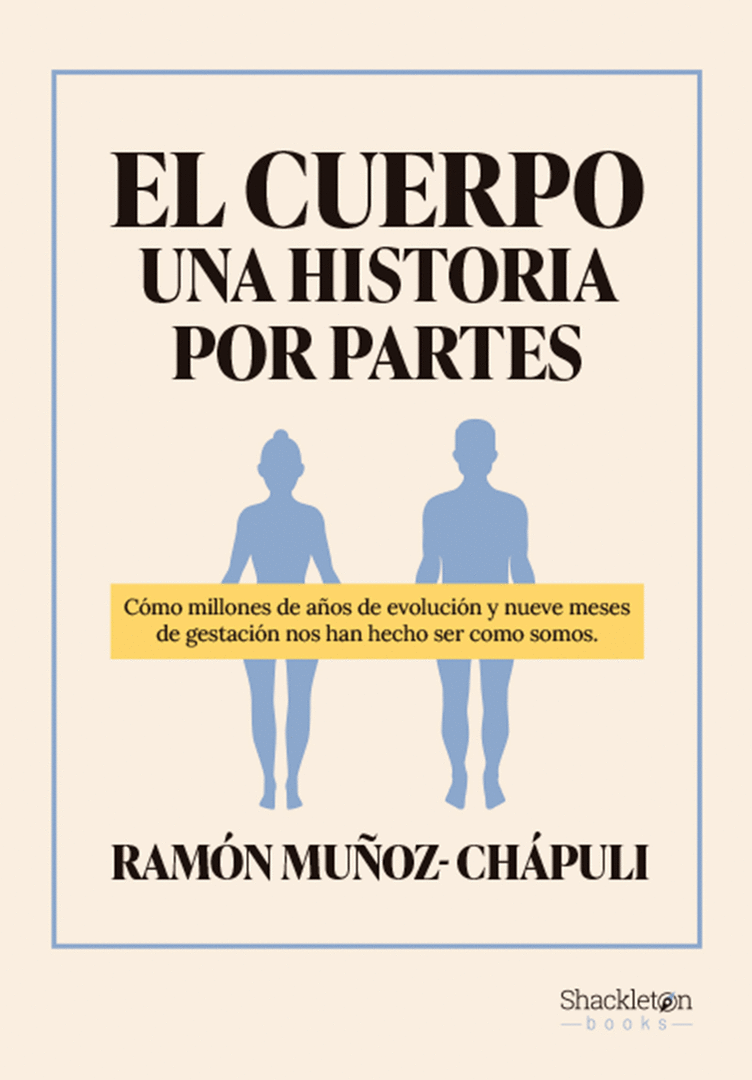 CUERPO, UNA HISTORIA POR PARTES