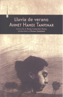 LLUVIA DE VERANO