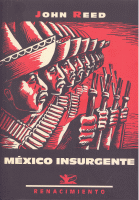 MEXICO INSURGENTE