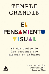 PENSAMIENTO VISUAL