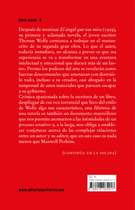 HISTORIA DE UNA NOVELA