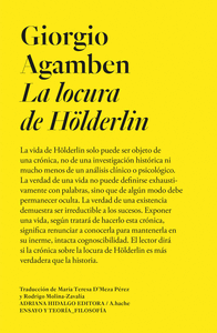 LOCURA DE HOLDERLIN