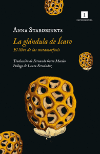 GLANDULA DE ICARO