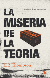 MISERIA DE LA TEORIA