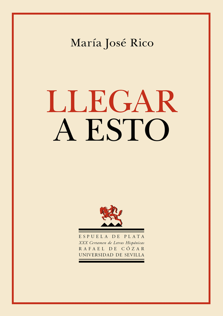 LLEGAR A ESTO