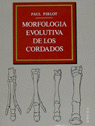 MORFOLOGIA EVOLUTI.CORDADOS