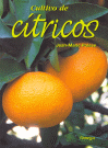 CULTIVO DE CITRICOS