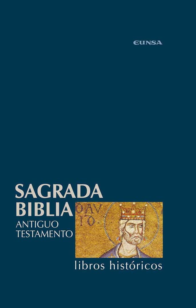 SAGRADA BIBLIA LIBROS HISTORICOS 2