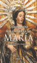 CAMINANDO POR LA TIERRA DE MARIA:MEDITACI.MARIANAS