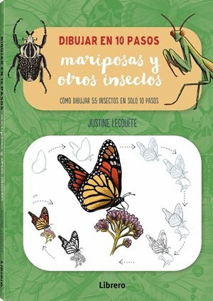 DIBUJAR MARIPOSAS Y OTROS INSECTOS EN 10 PASOS