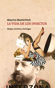 VIDA DE LOS INSECTOS ABEJAS,TERMITAS Y HORMIGAS