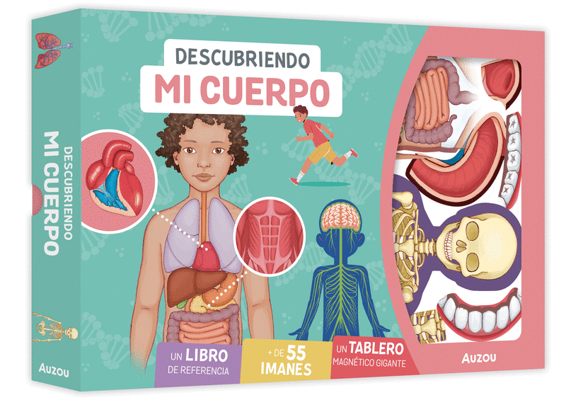 DESCUBRIENDO MI CUERPO. TABLERO MAGNETICO (NE)