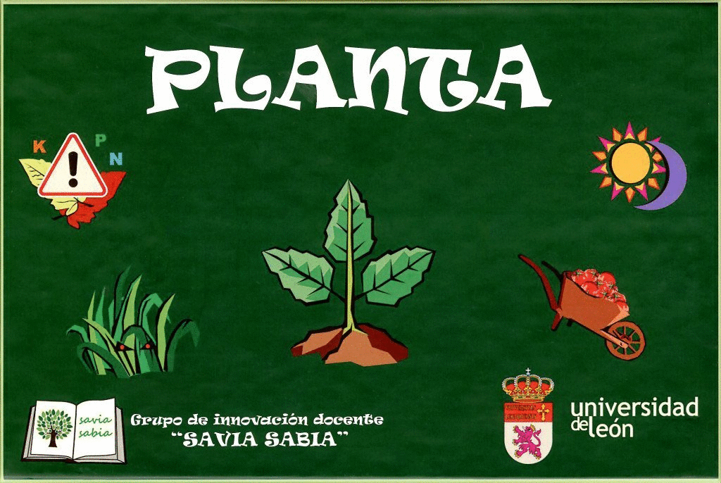PLANTA