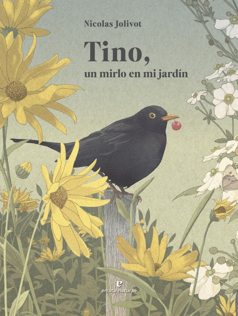 TINO, UN MIRLO EN MI JARDIN