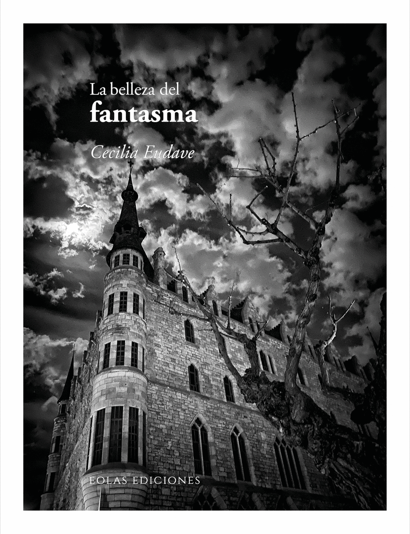 LA BELLEZA DEL FANTASMA