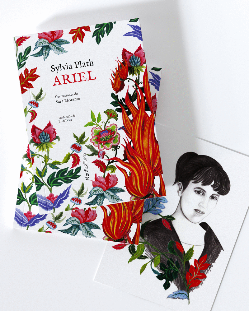 ARIEL (ED. ESPECIAL)