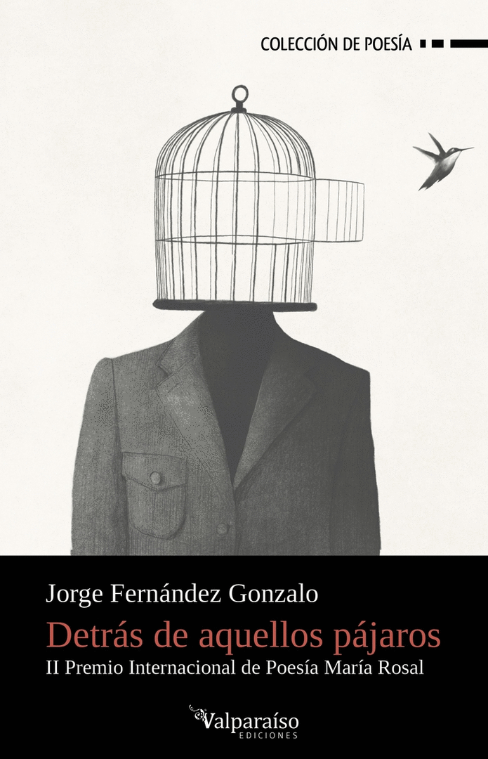 DETRAS DE AQUELLOS PAJAROS