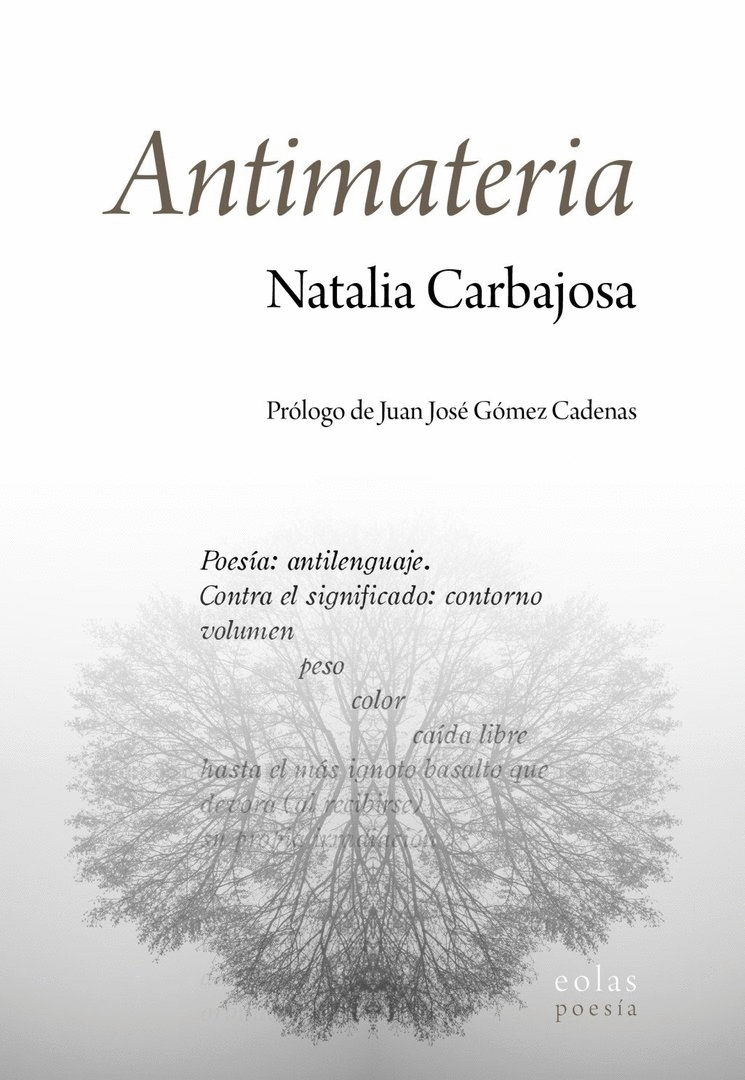 ANTIMATERIA